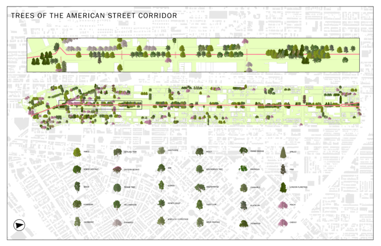 Trees of the American Street Corridor